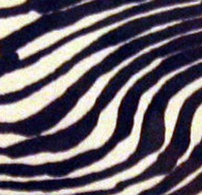 Ben Sleeping - Detail