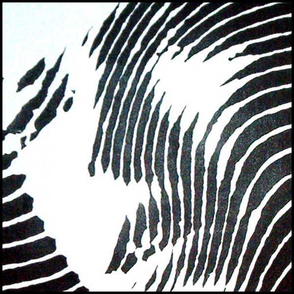 David Bowie, Detail